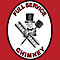 Winston’s Chimney Service's Competitor - Fullservicechimney logo