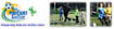 Fun Motion Soccer