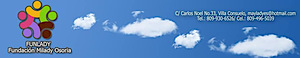 Funlady's logo Funlady's Company logo