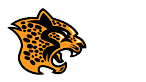 Fuzzy Cheetahs's logo Fuzzy Cheetahs's Company logo