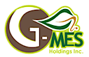G-mes Holdings Inc.