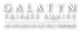Galatyn Private Equity