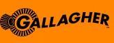 Gallagher Security