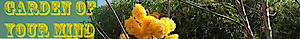 Garden Of Your Mind's logo Garden Of Your Mind's Company logo