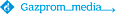 Gazprom Media's company profile