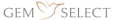 China Stone's Competitor - Gemselect logo
