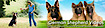 German Shepherd Videos