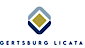 Amin, Turocy & Watson's Competitor - Gertsburg Licata logo
