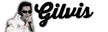 Gilvis And Fever's logo Gilvis And Fever's Company logo