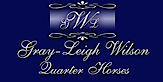 Gl Wilson Quarter Horses