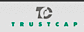Global Trustcapital Finance