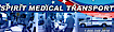Buckeye Ambulance's Competitor - Globe Wireless logo