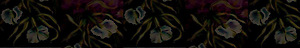 Gntos's logo Gntos's Company logo
