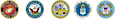 Go American Veterans's company profile