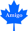 Go Amigo's logo Go Amigo's Company logo