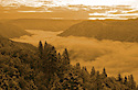 Gold Country Brewing