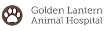 Golden Lantern Animal Hospital