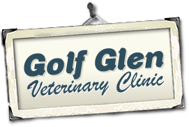 glen veterinary clinic