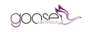Goose Talent Institute's company profile