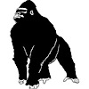 Goriphone's logo Goriphone's Company logo