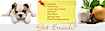 Got Errands? Party Help &  Errand Services