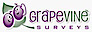 Grapevine Surveys