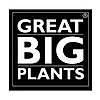 Great Big Plants