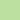 Green Apple Dog