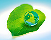 Green Car Uol's logo Green Car Uol's Company logo