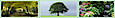Green Wise Group