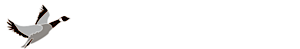 Greygoosegraphics's logo Greygoosegraphics's Company logo