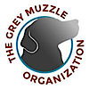Grey Muzzle