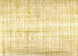 Grill Xpressny's logo Grill Xpressny's Company logo