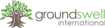TechnoServe's Competitor - Groundswell logo