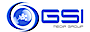 GSI Media Group