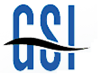 Gaugingsystemsinc