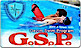 Gspguard