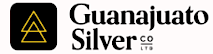 Guanajuato Silver