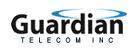 Guardiantelecom's logo Guardiantelecom's Company logo