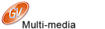 IDNS's Competitor - GV Multimedia logo