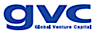 Mitsubishi UFJ Capital Co., Ltd.'s Competitor - Global Venture Capital, Inc. logo
