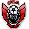 Gwinnett Soccer Association