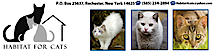 Habitat For Cats Ny