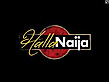 Hallanaija's logo Hallanaija's Company logo
