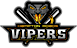Hampton Roads Vipers Fastpitch Softball