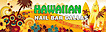 Millennium Nails & Spa In Pearland Tx's Competitor - Hawaiian Nail Bar Dallas logo