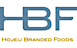 HBF Airports's company profile
