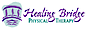 Healingbridge's company profile