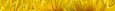 Helianthus Inc
