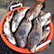 High Hook Sport Fishing Point Pleasant Nj
